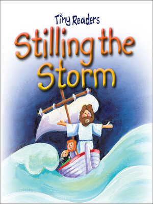 cover image of Stilling the Storm